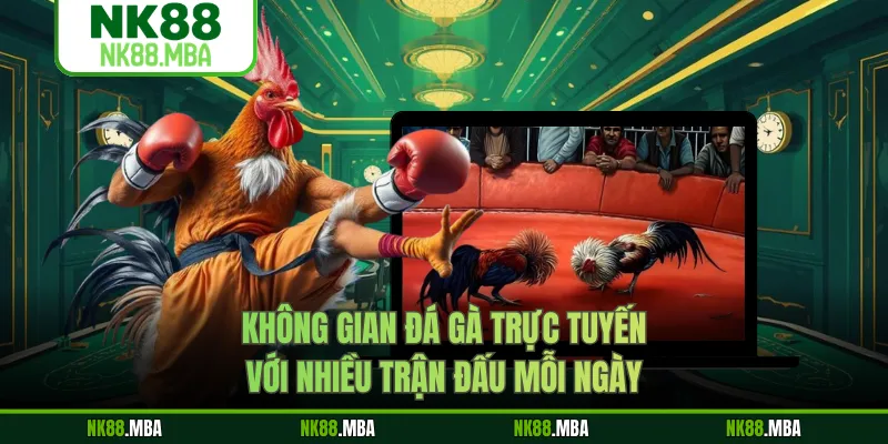 Không gian đá gà trực tuyến với nhiều trận đấu mỗi ngày