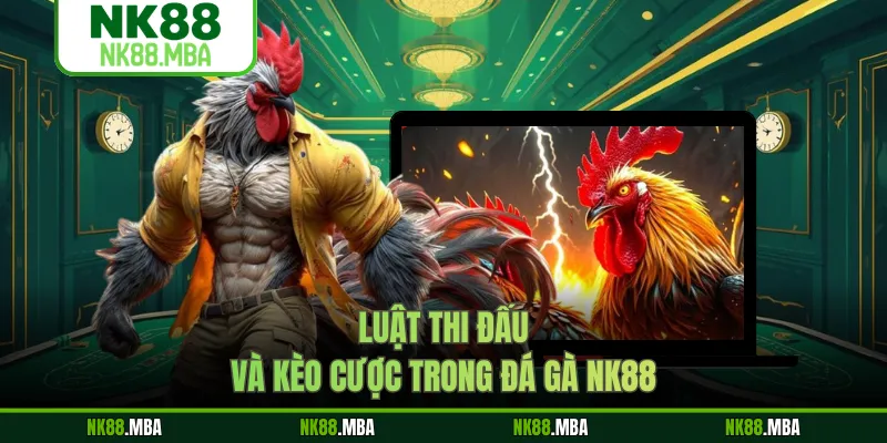 Luật thi đấu và kèo cược trong đá gà NK88